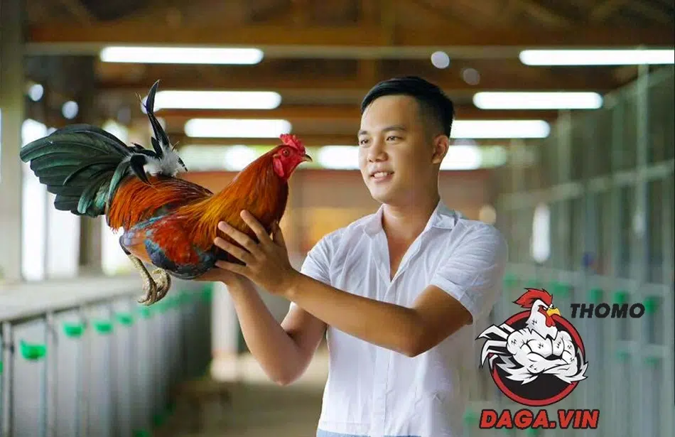 cách Chăm sóc toàn diện