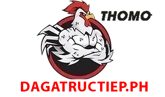 XEM ĐÁ GÀ THOMO TRỰC TIẾP C1 C2 C3 C4 C5 C6 NGÀY HÔM NAY